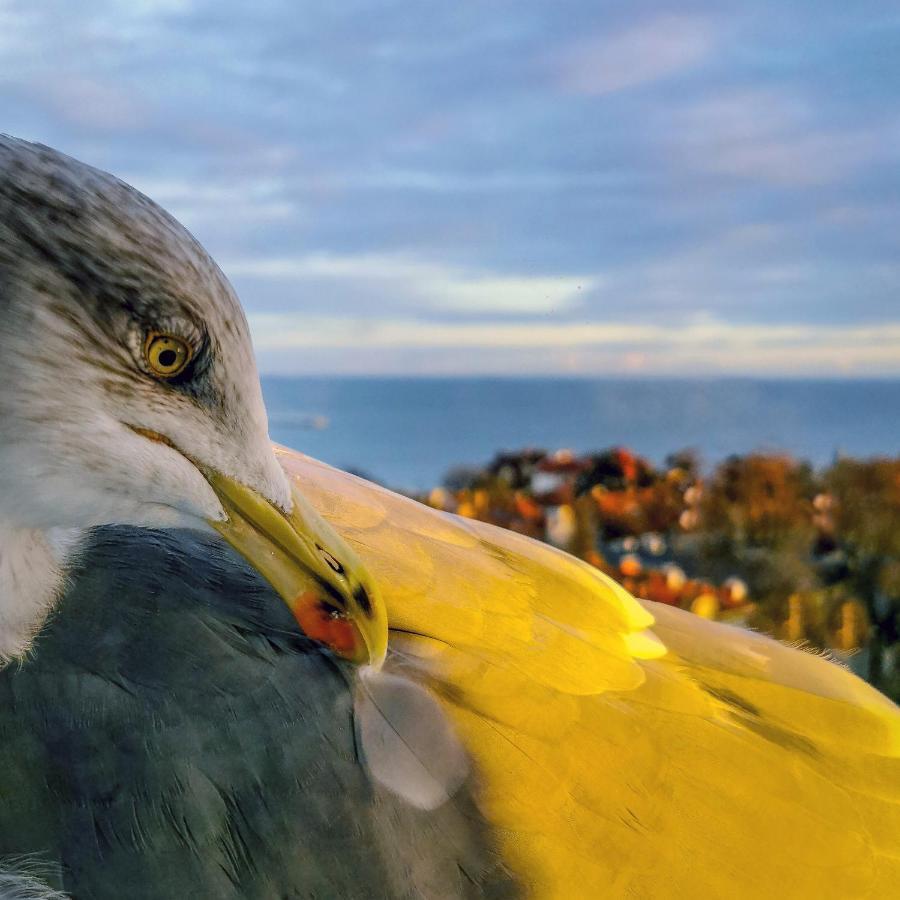 Pokoje Przy Plazy Z Widokiem Na Morze Sopot Bagian luar foto