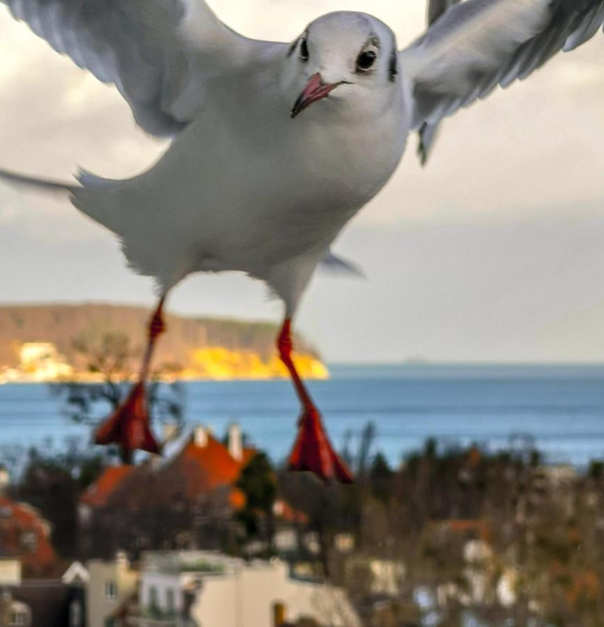 Pokoje Przy Plazy Z Widokiem Na Morze Sopot Bagian luar foto