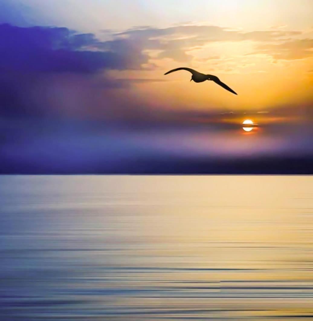 Pokoje Przy Plazy Z Widokiem Na Morze Sopot Bagian luar foto